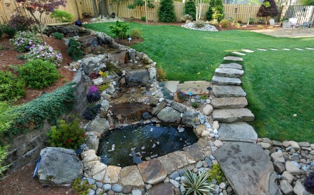 Eco-Friendly Landscapes: Water Features and Rain Gardens