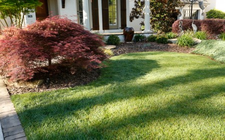 Common Turf Issues and How to Treat Them