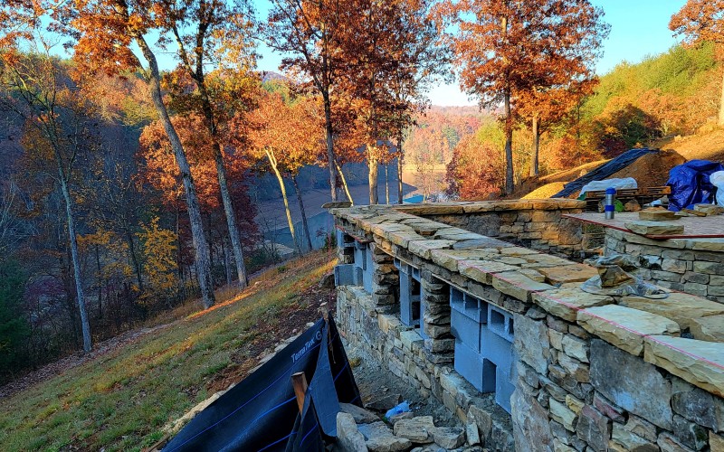 rock wall with fall trees