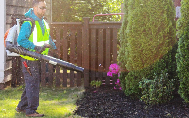Electric leaf blower in action.