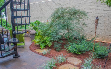 Caring for your trees and shrubs