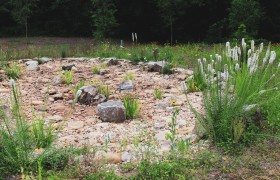 Eco-Friendly Landscapes: Water Features and Rain Gardens