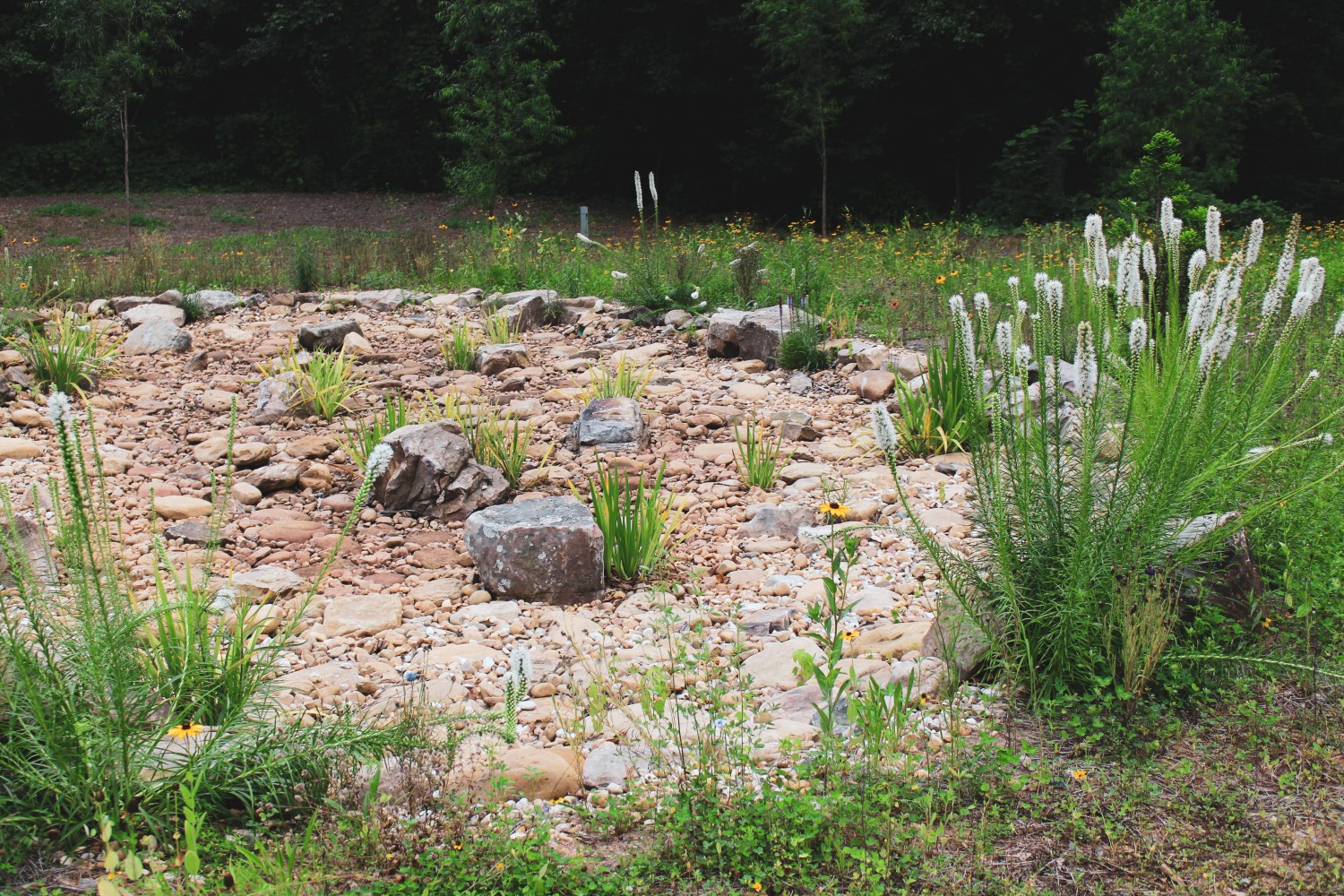 Eco-Friendly Landscapes: Water Features and Rain Gardens