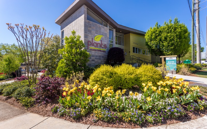 Annual flowers in front of the Plants Creative office.