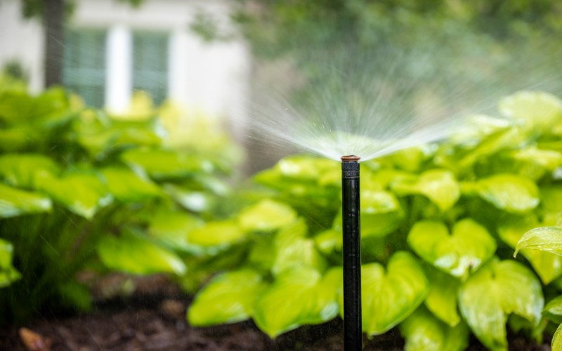 Best Practices for Optimal Water Savings