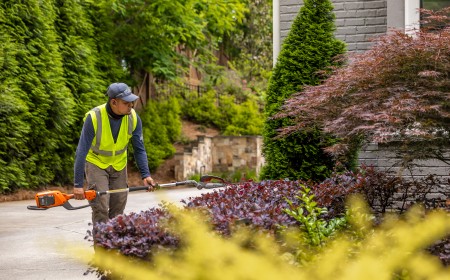 How to Choose the Right Landscape Maintenance Partner