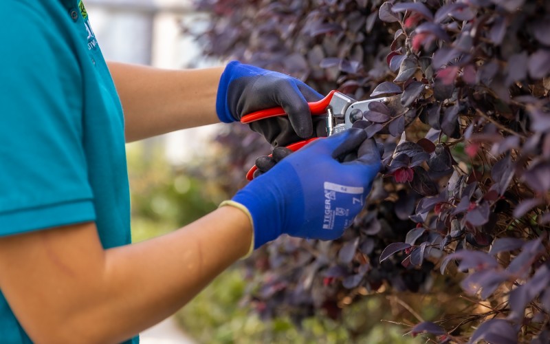 What Am I Really Paying For in Landscape Maintenance?