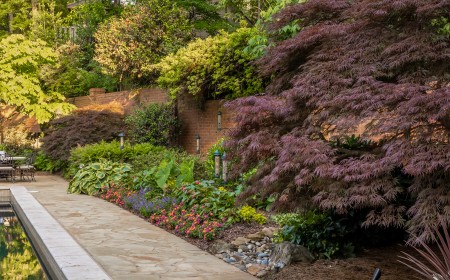 Seasonal Color Secrets: What Most Landscapers Won’t Tell You About Planting Annuals