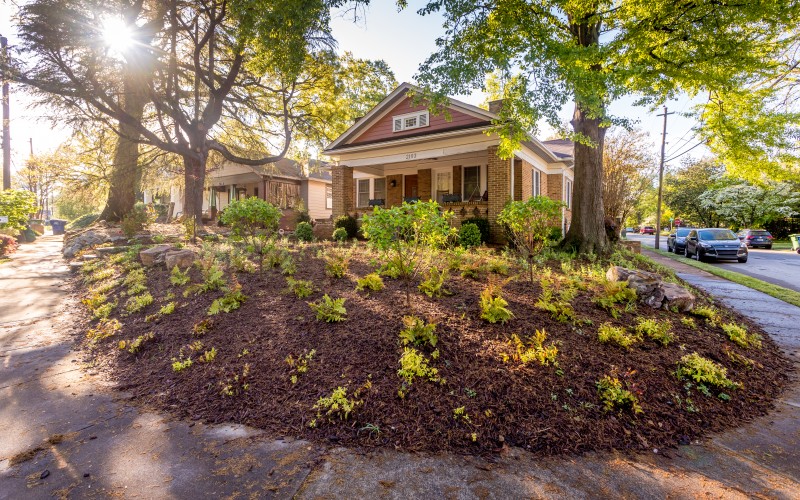 garden with mulch