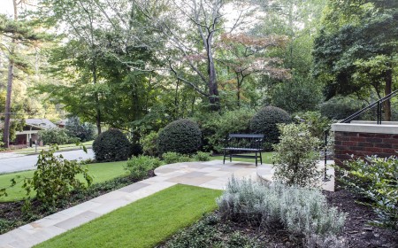 How to Choose the Right Tree for Your Landscape
