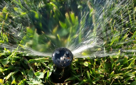 How to Save Water & Money With Smart Irrigation